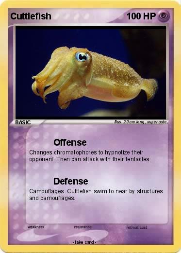 Pokemon Cuttlefish