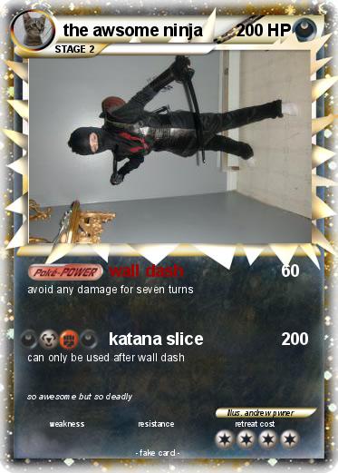 Pokemon the awsome ninja