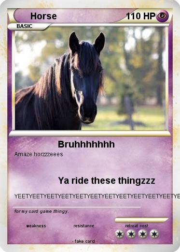 Pokemon Horse