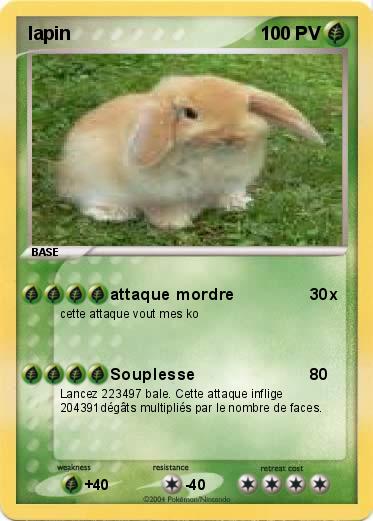 Pokemon lapin
