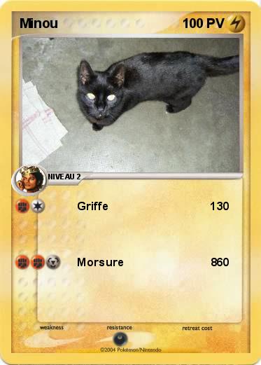 Pokemon Minou