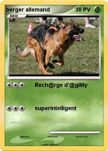 Pokemon berger allemand