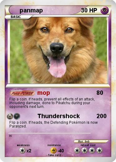Pokemon panmap
