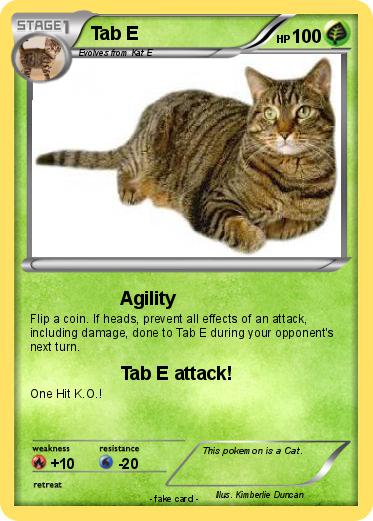 Pokemon Tab E