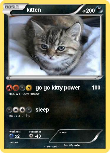 Pokemon kitten