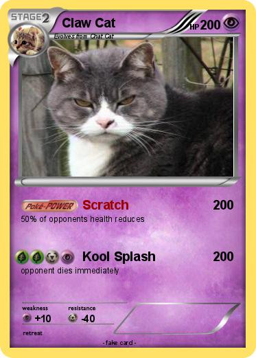 Pokemon Claw Cat