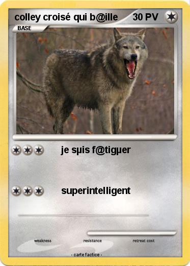 Pokemon colley croisé qui b@ille