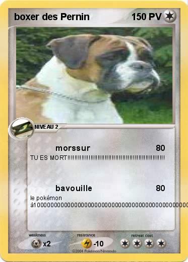 Pokemon boxer des Pernin
