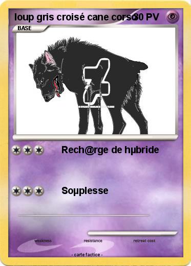 Pokemon loup gris croisé cane corso