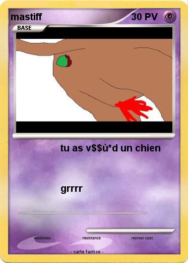 Pokemon mastiff
