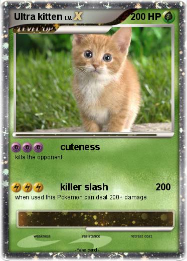 Pokemon Ultra kitten