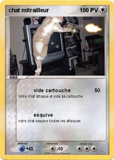 Pokemon chat mitrailleur