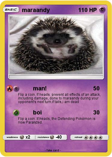 Pokemon maraandy