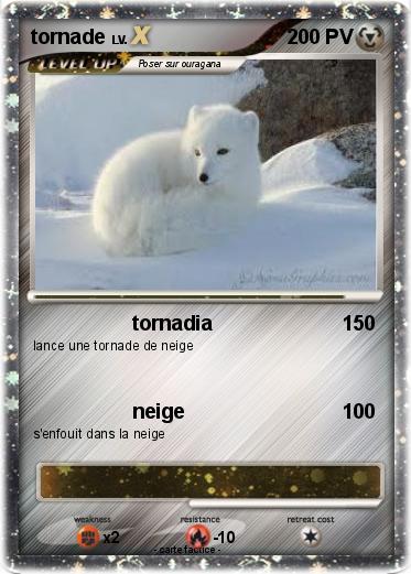 Pokemon tornade