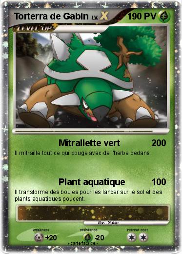Pokemon Torterra de Gabin