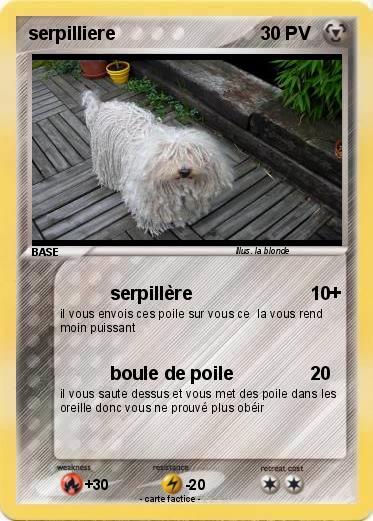 Pokemon serpilliere