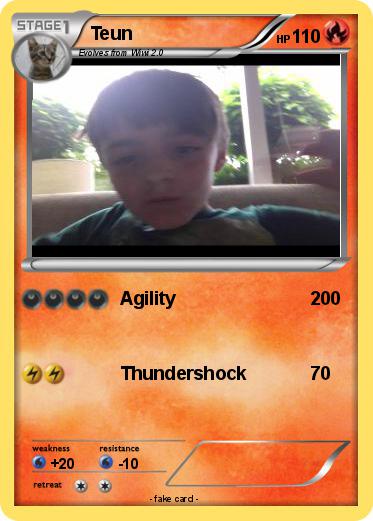 Pokemon Teun