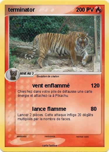 Pokemon terminator