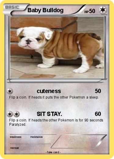 Pokemon Baby Bulldog