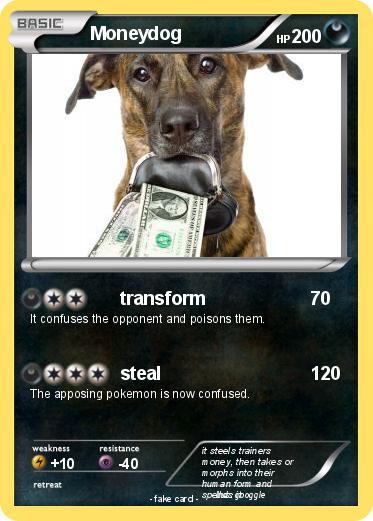 Pokemon Moneydog