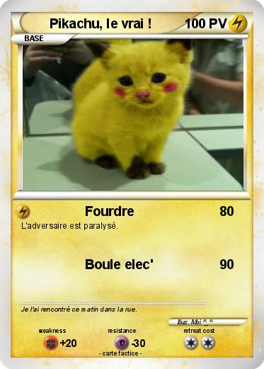 Pokemon Pikachu, le vrai !