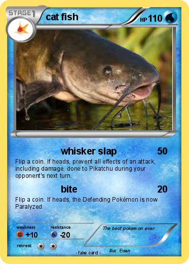 Pokemon cat fish
