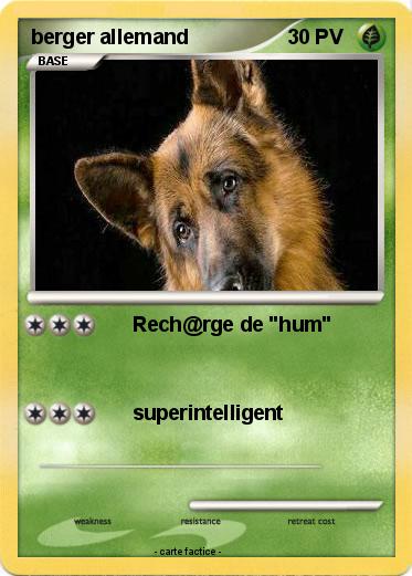Pokemon berger allemand