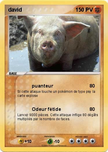Pokemon david