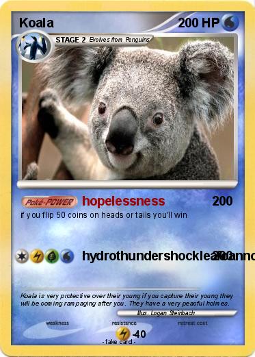 Pokemon Koala
