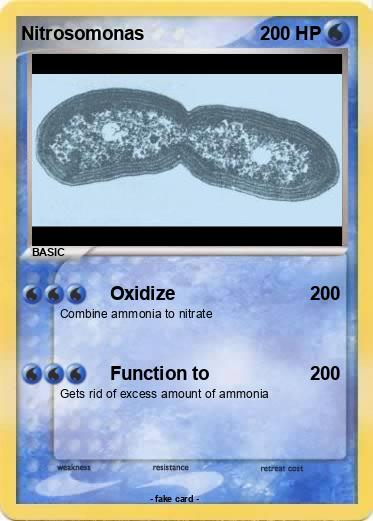 Pokemon Nitrosomonas