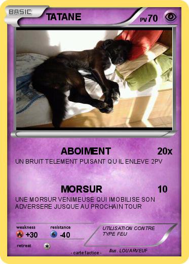 Pokemon TATANE