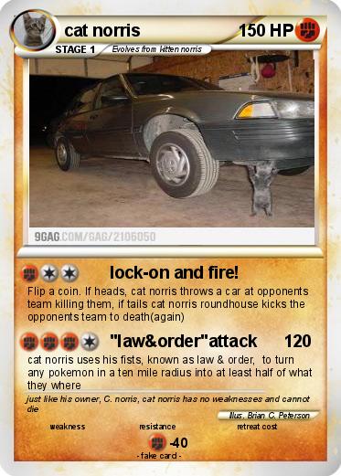 Pokemon cat norris