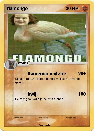 Pokemon flamongo