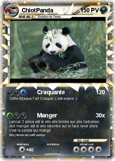 Pokemon ChiotPanda