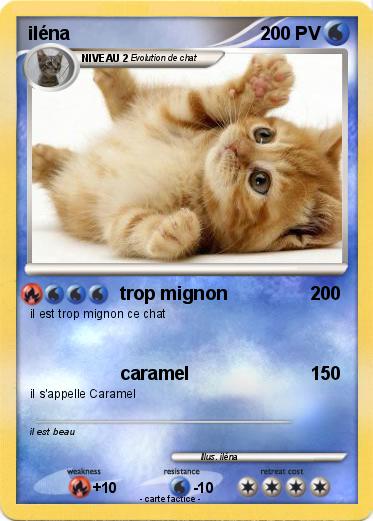 Pokemon iléna
