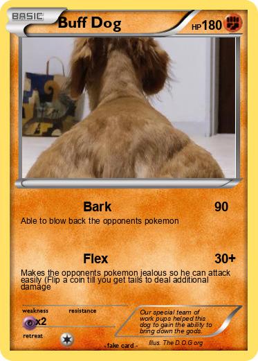 Pokemon Buff Dog