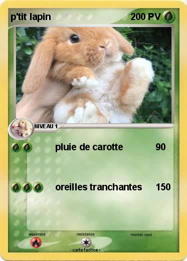 Pokemon p'tit lapin