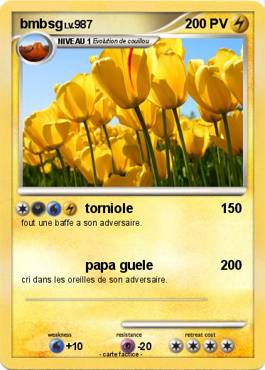 Pokemon bmbsg