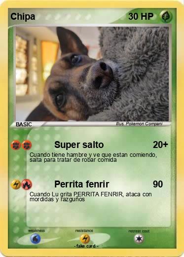 Pokemon Chipa