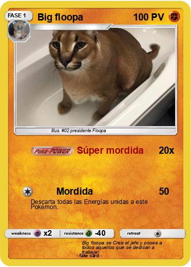 Pokemon Big floopa