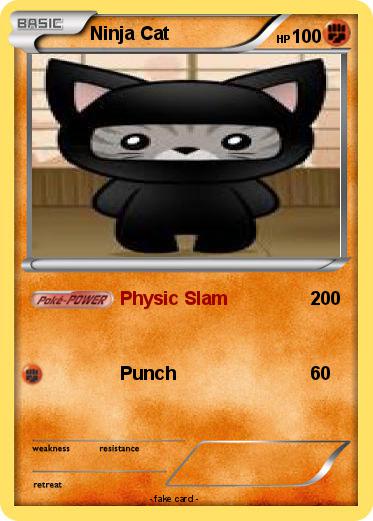 Pokemon Ninja Cat