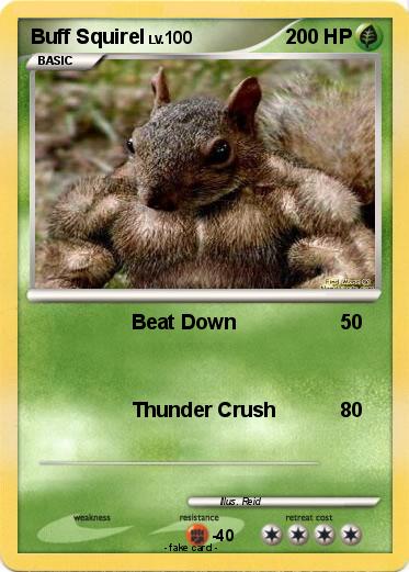Pokemon Buff Squirel