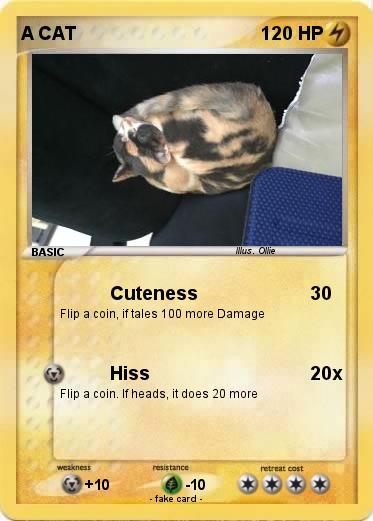 Pokemon A CAT