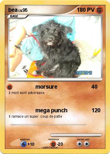 Pokemon bea
