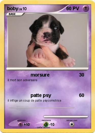 Pokemon boby