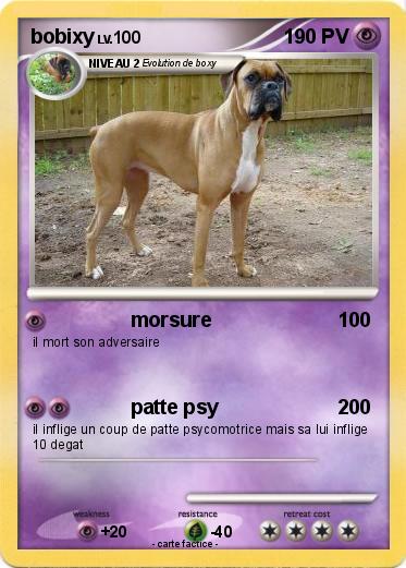Pokemon bobixy