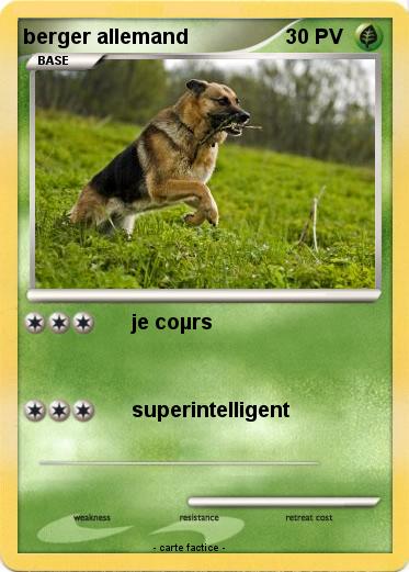 Pokemon berger allemand
