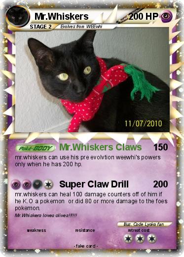 Pokemon Mr.Whiskers