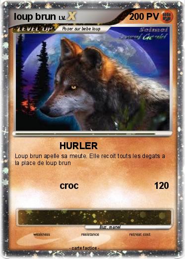 Pokemon loup brun