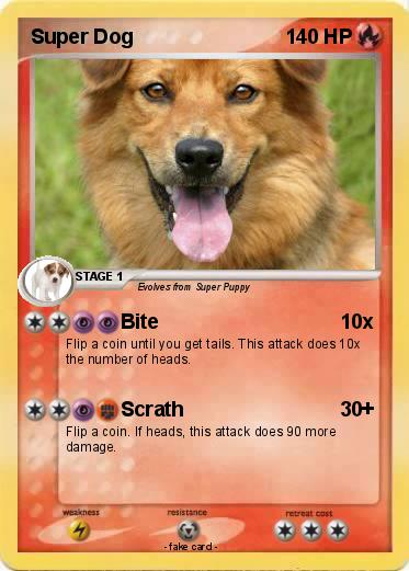 Pokemon Super Dog